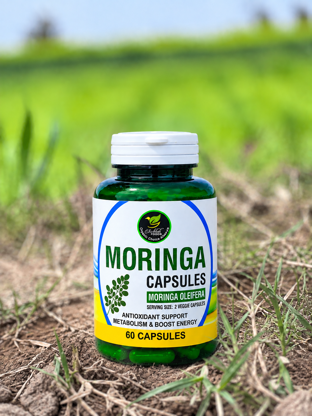 Premium Moringa Capsules – Moringa Oleifera