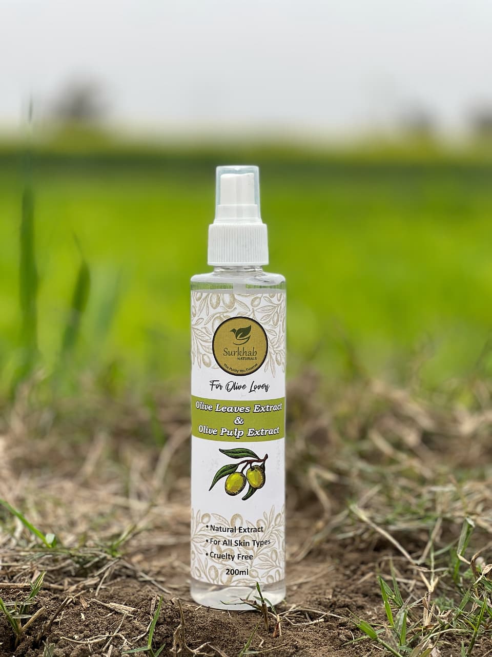 Premium Quality Olive Leaves & Olive Extract 200ml