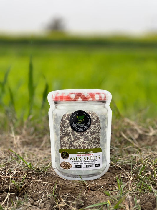 Premium Quality Mix Seeds – 100g