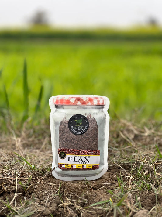 Premium Quality Flax Seeds – 100g
