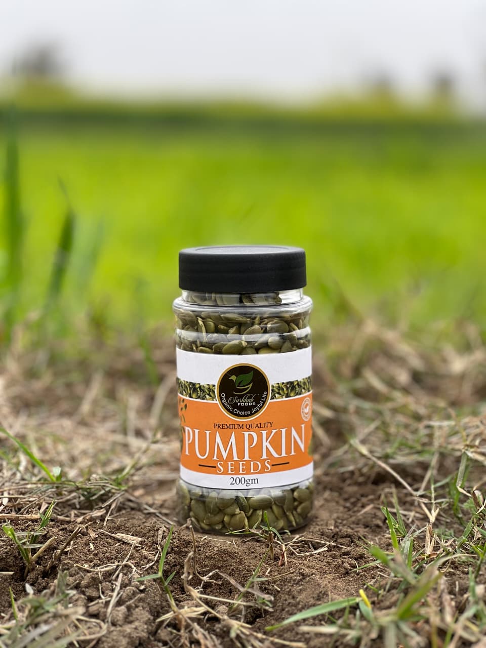 Premium Pumpkin Seeds – 200g